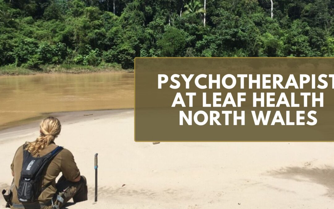 Psychotherapist At LEAF Health North Wales